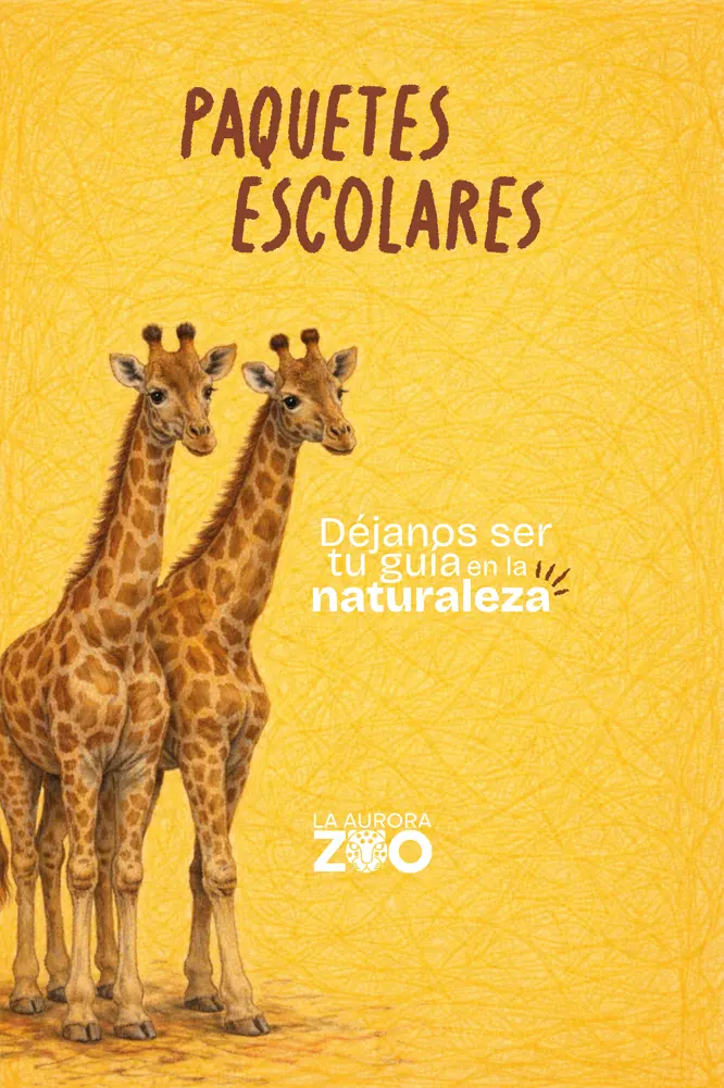 Paquetes escolares del Zoológico La Aurora