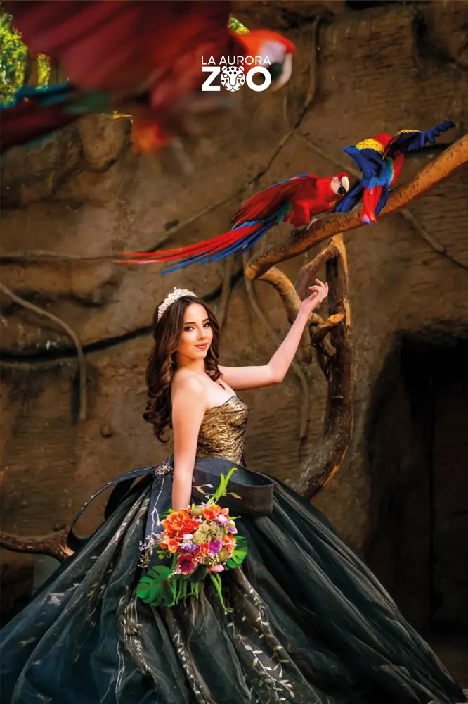 Planifica tu evento en el Zoológico La Aurora