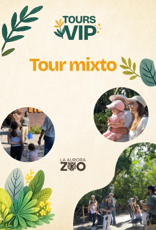Experiencia alimentando guacamayas, jirafas y elefantes