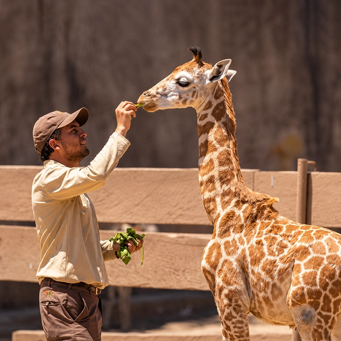 Naturaleza y vida silvestre en Zoológico La Aurora