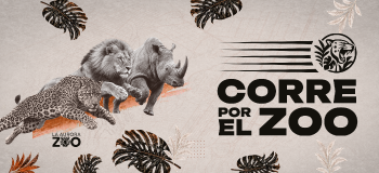 Corre por el Zoo