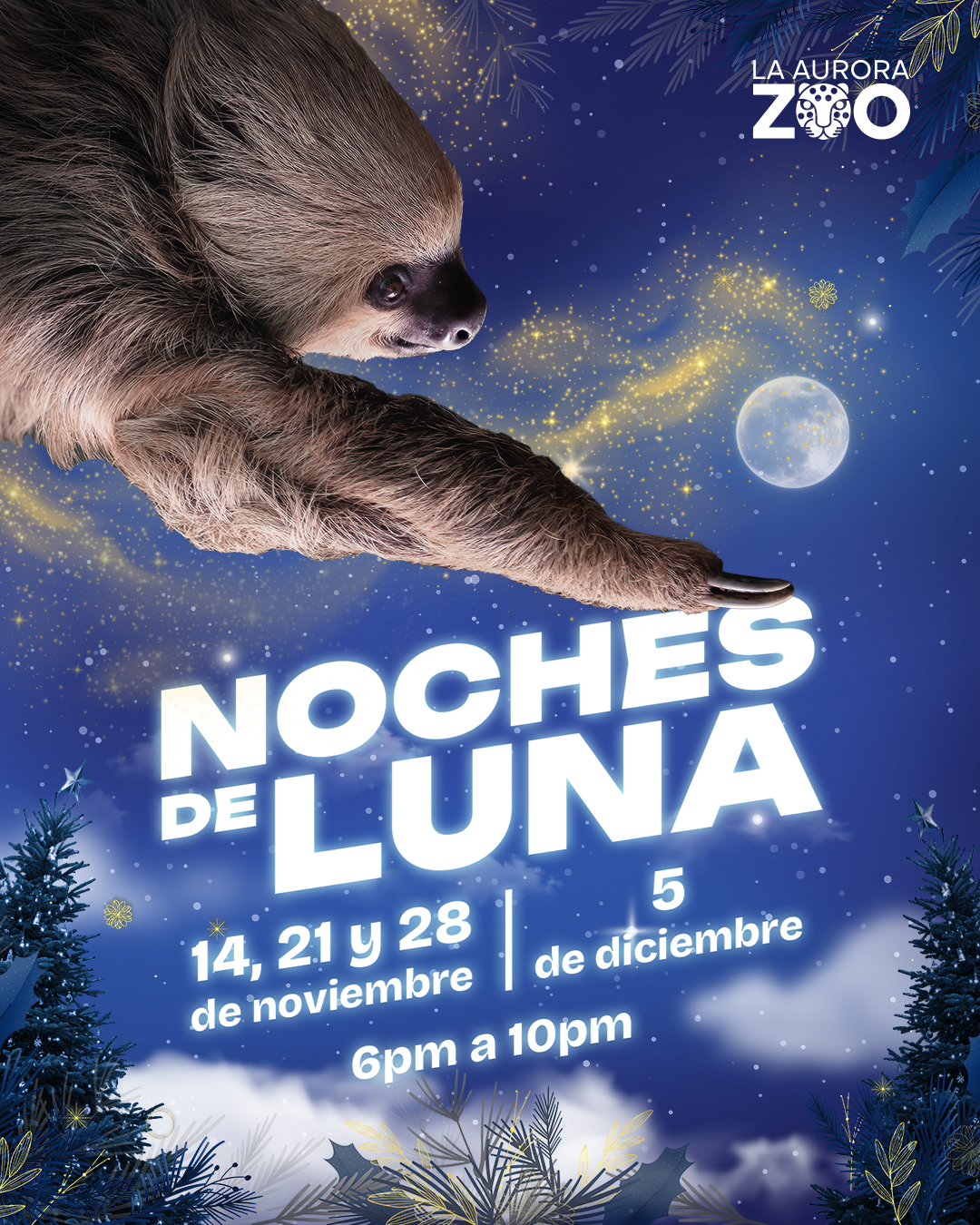 Perezoso - Noches de Luna 21 de Noviembre