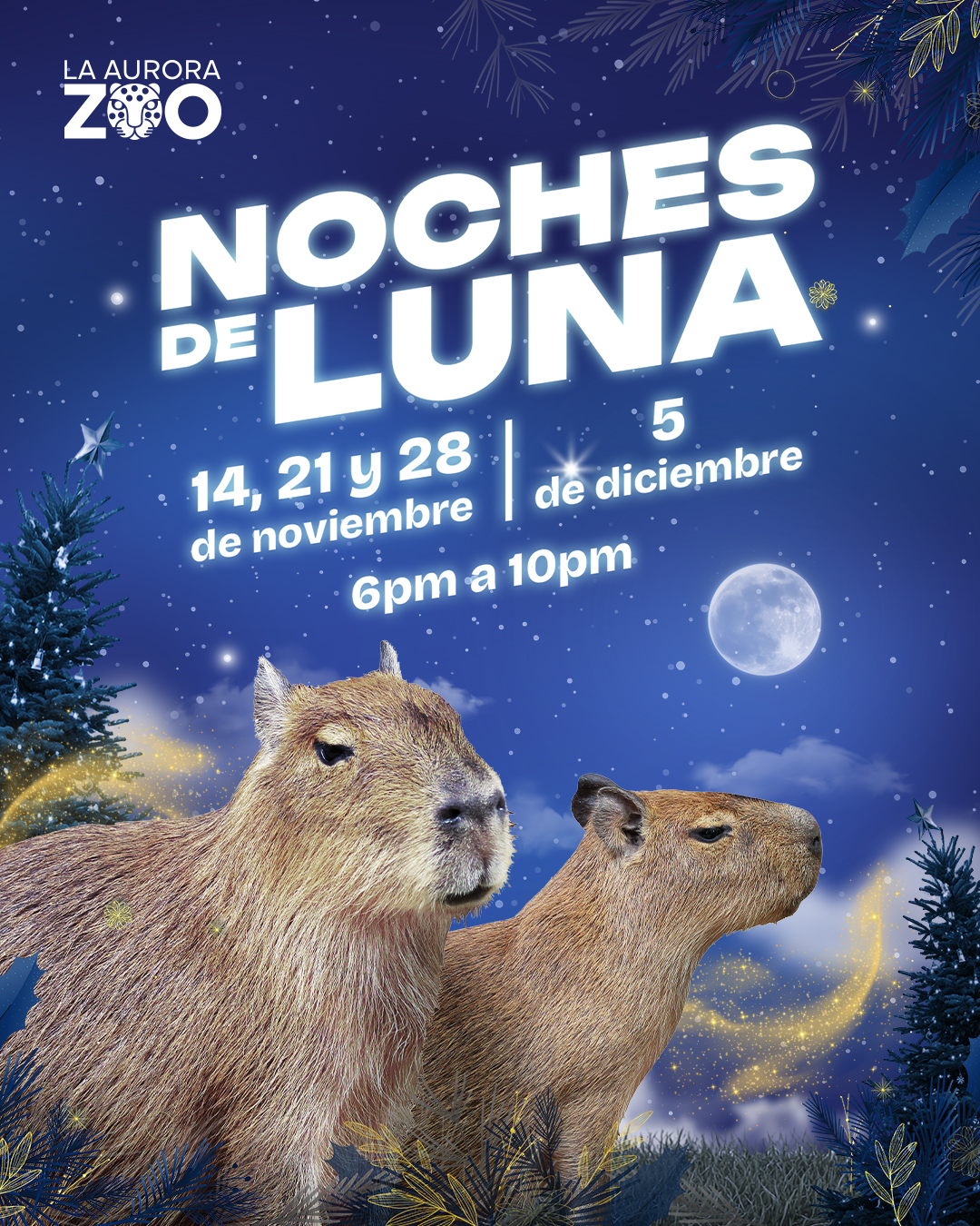 Capibaras - Noches de Luna 14 de Noviembre