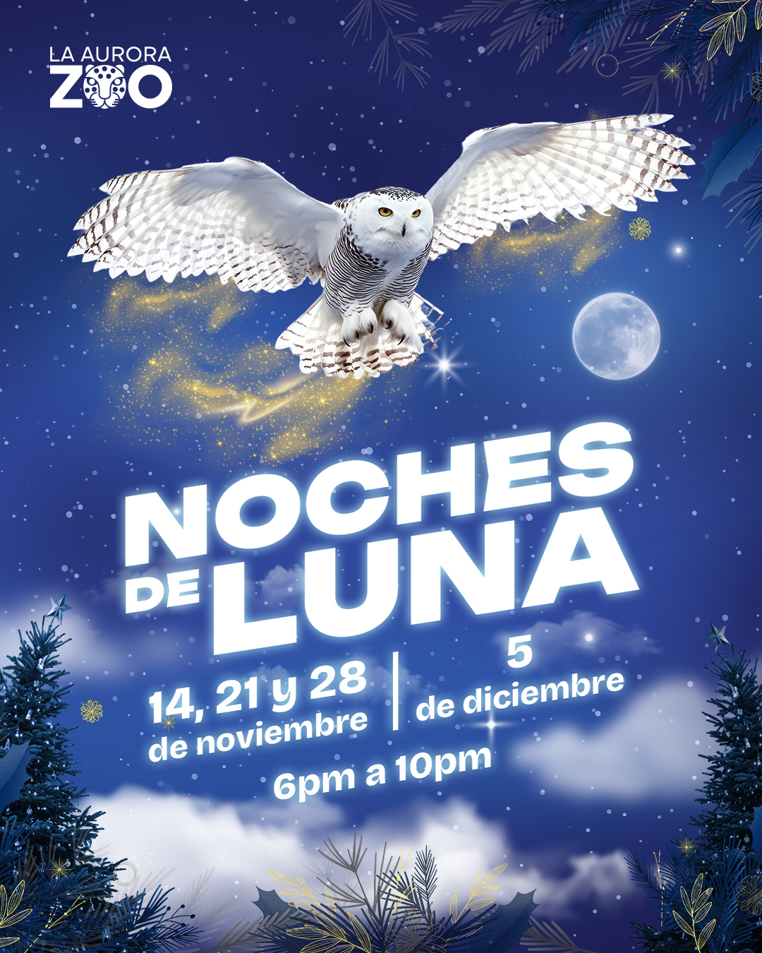 Búho - Noches de Luna 28 de Noviembre