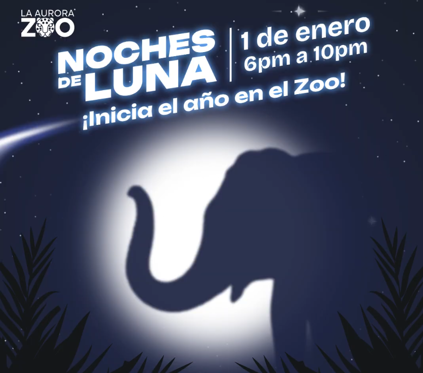 Año Nuevo - Noche de Luna 1 de Enero
