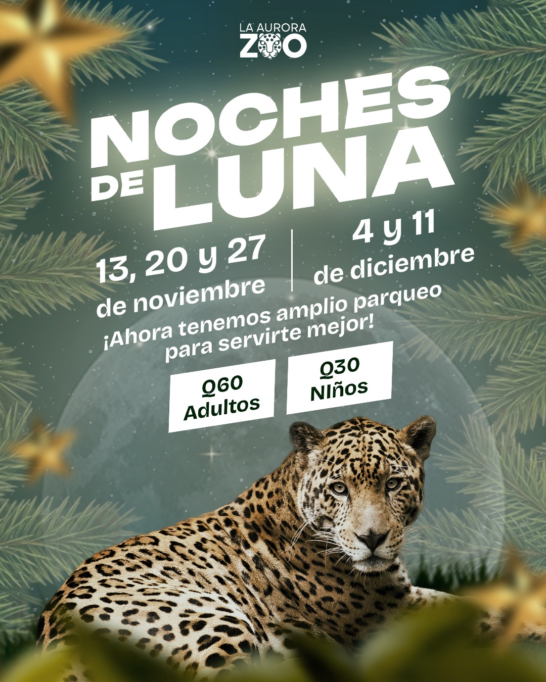 Afiche de Noches de Luna en La Aurora Zoo